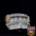 6 teeth: double bridge with 2 diamond dust k9's image 1