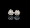 SE1867B 10K Yellow Gold